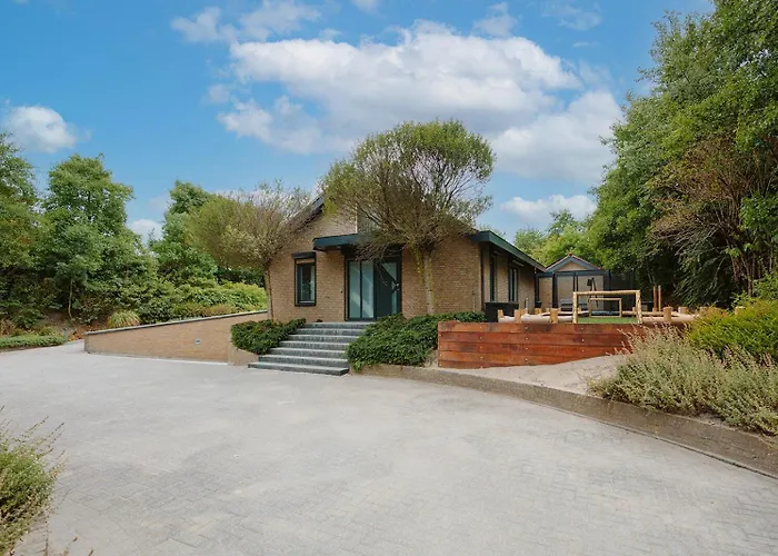 Vakantiehuis West Nieuwlandseweg 25a - - With Pool - Not For Companies Ouddorp