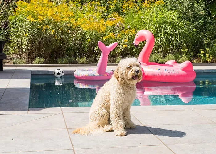 West Nieuwlandseweg 25a - - Poolvilla Zilt & Zoet Casa vacanze *