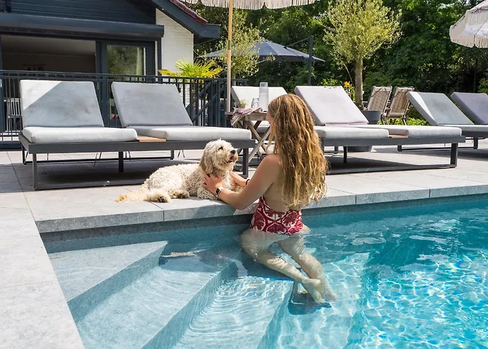 West Nieuwlandseweg 25a - - With Pool - Not For Companies Vakantiehuis Ouddorp