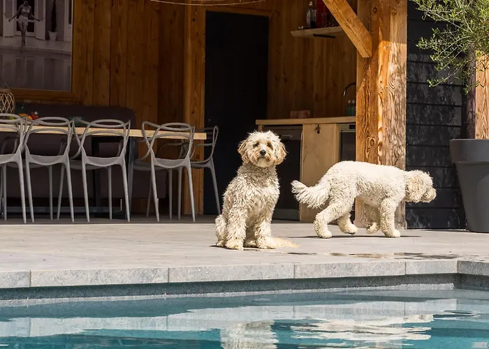 West Nieuwlandseweg 25a - - With Pool - Not For Companies * Ouddorp