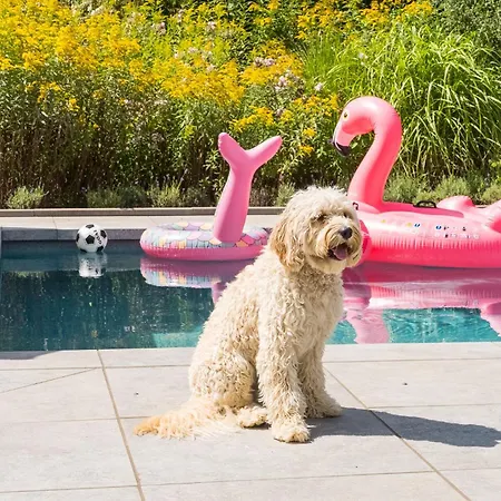 West Nieuwlandseweg 25a - - Poolvilla Zilt & Zoet 펜션 *