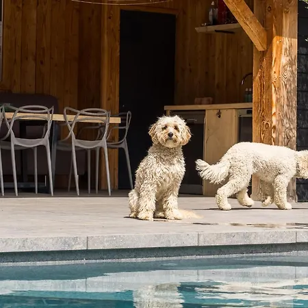 West Nieuwlandseweg 25a - - Poolvilla Zilt & Zoet * 우도르프